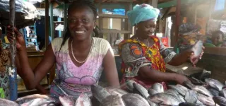 secteur-aquacole-les-mesures-du-gouvernement-pour-moderniser-la-filiere